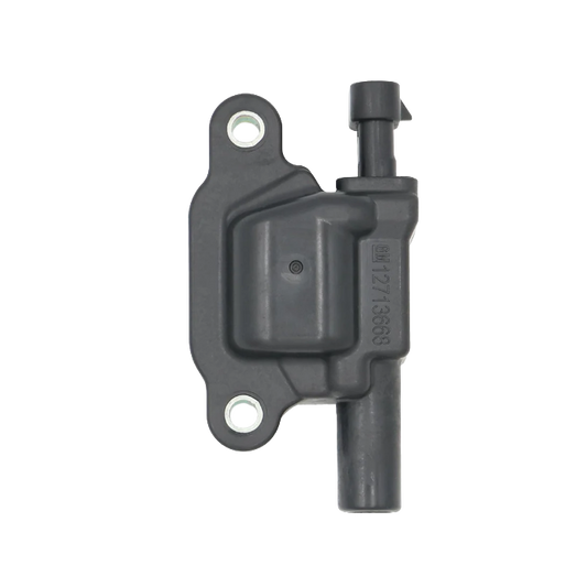 GM - Ignition Coil D510C - Set of 8